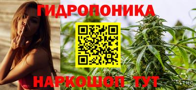 гидра Нальчик