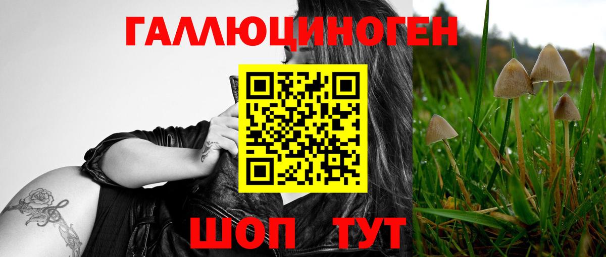 Псилоцибиновые грибы мухоморы  Вход с VPN  Уварово 
